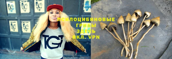 спайс Заводоуковск