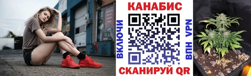 Каннабис планчик  ОМГ ОМГ маркетплейс  Волчанск 